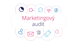 1. část Marketingové strategie - Marketingový audit